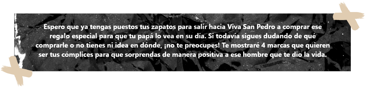 Texto