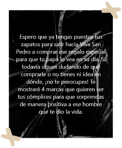 Texto