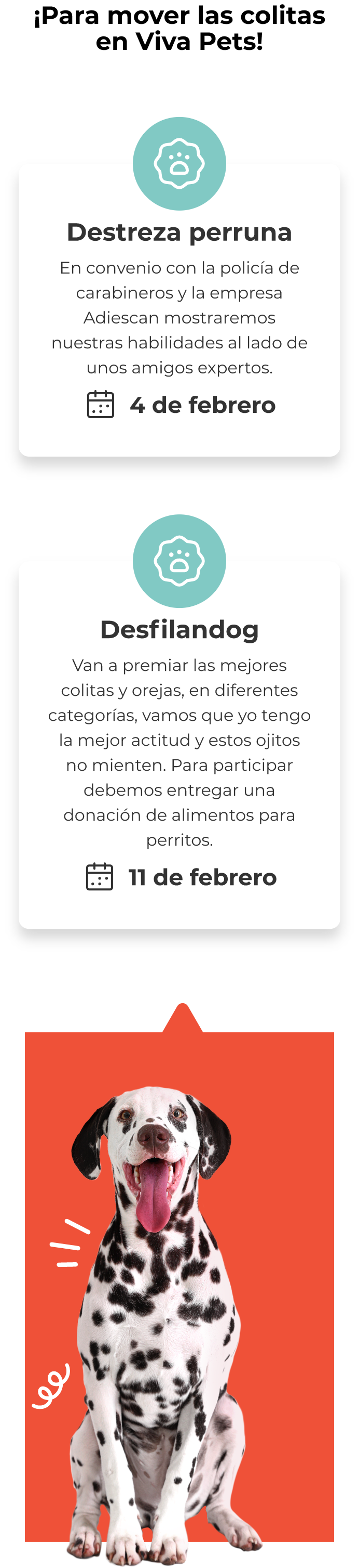 marcas