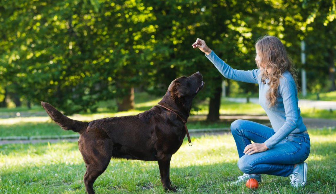 mujer adiestrando su perro