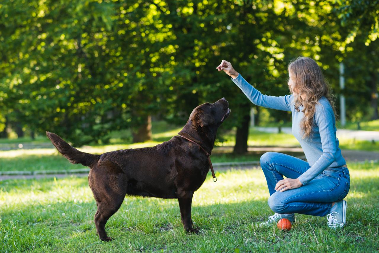 mujer adiestrando su perro